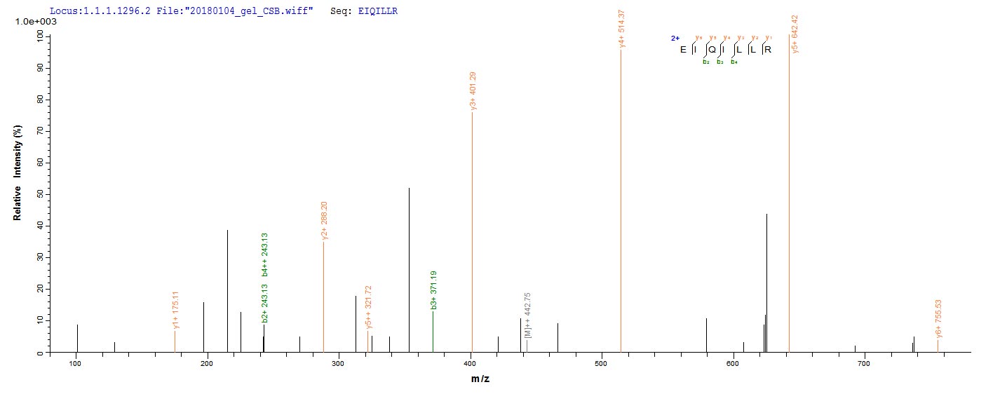 LC-MS Analysis 1- Recombinant protein Human MAPK3