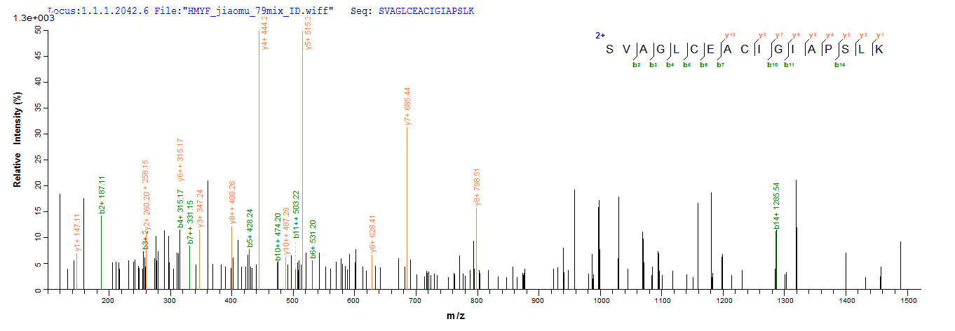 LC-MS Analysis 1- Recombinant protein Brucella mdh