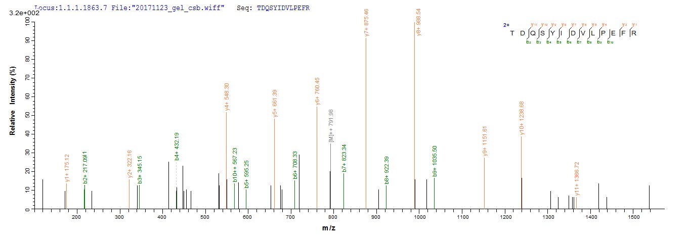 LC-MS Analysis 1- Recombinant protein Human MET