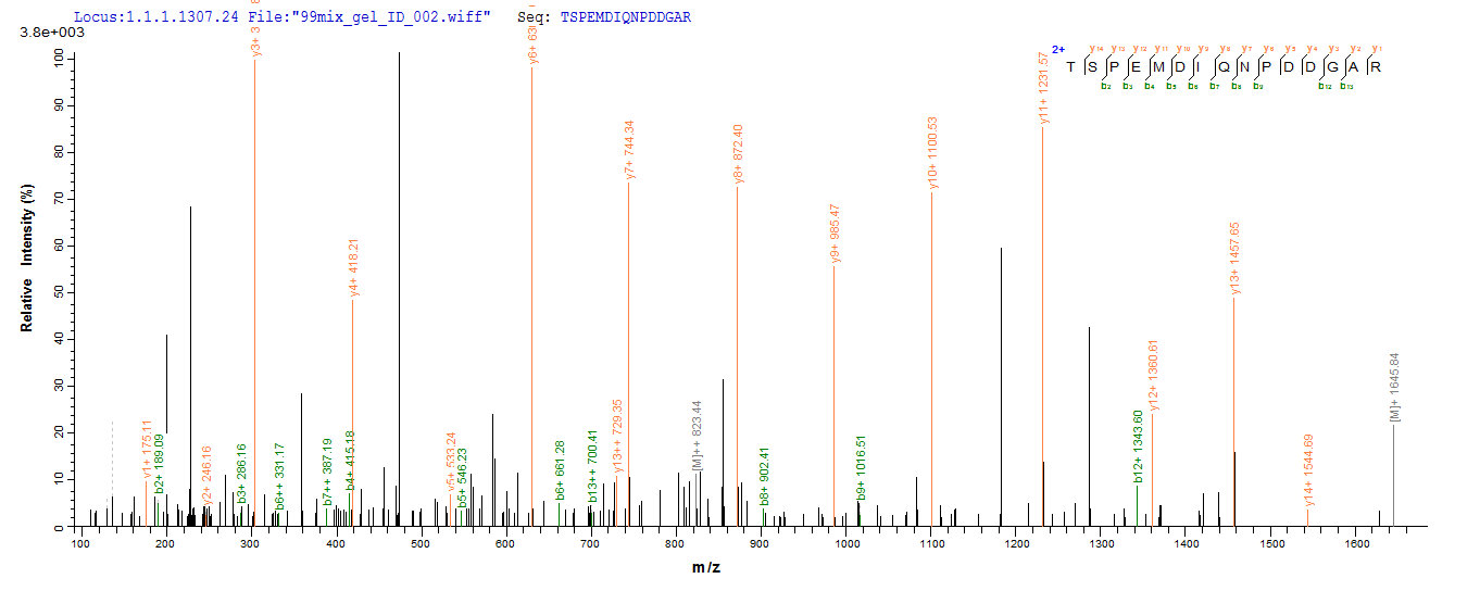 LC-MS Analysis 1- Recombinant protein Human MKI67