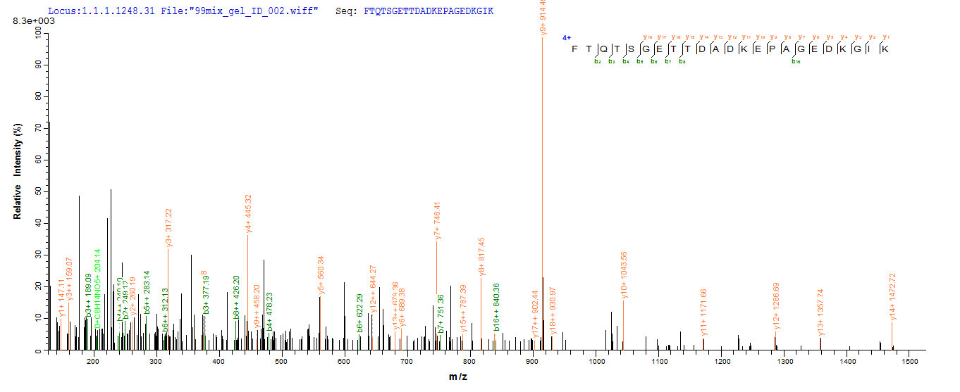 LC-MS Analysis 2- Recombinant protein Human MKI67