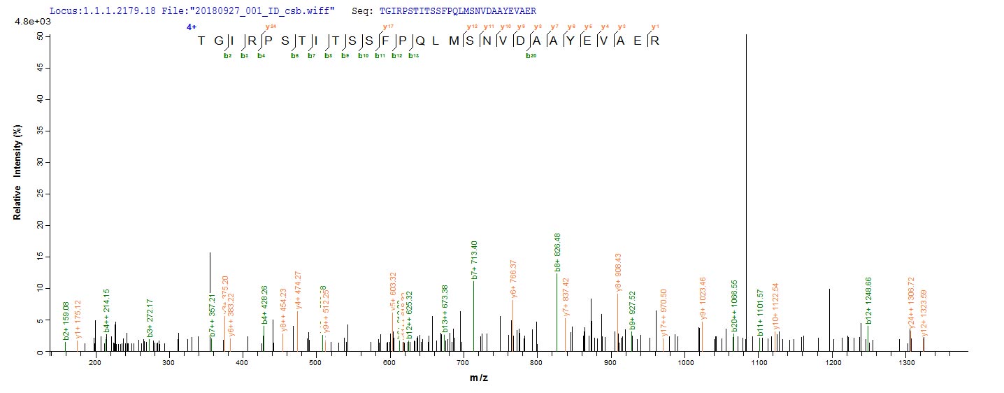 Based on the SEQUEST from database of E.coli host and target protein, the LC-MS/MS Analysis result of CSB-EP014667HU could indicate that this peptide derived from E.coli-expressed Homo sapiens (Human) MMP20. Based on the SEQUEST from database of E.coli host and target protein, the LC-MS/MS Analysis result of CSB-EP014667HU could indicate that this peptide derived from E.coli-expressed Homo sapiens (Human) MMP20.