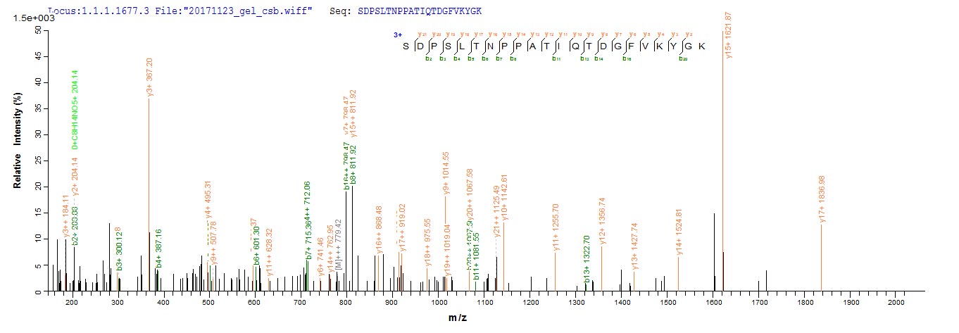 LC-MS Analysis 1- Recombinant protein Human MRC1