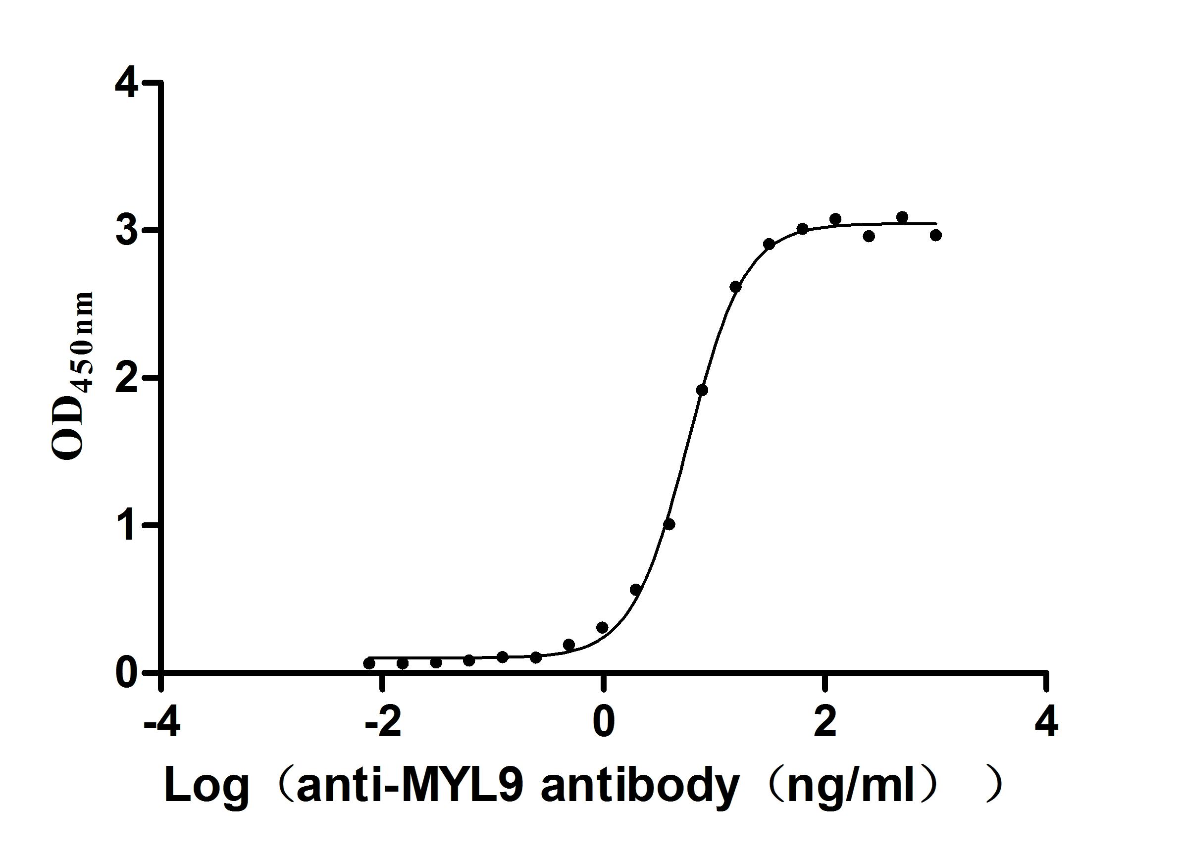 Human MYL12A Protein, Active Verified