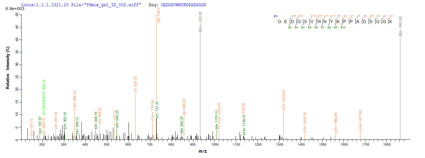 LC-MS Analysis 1- Recombinant protein Human NR1I2