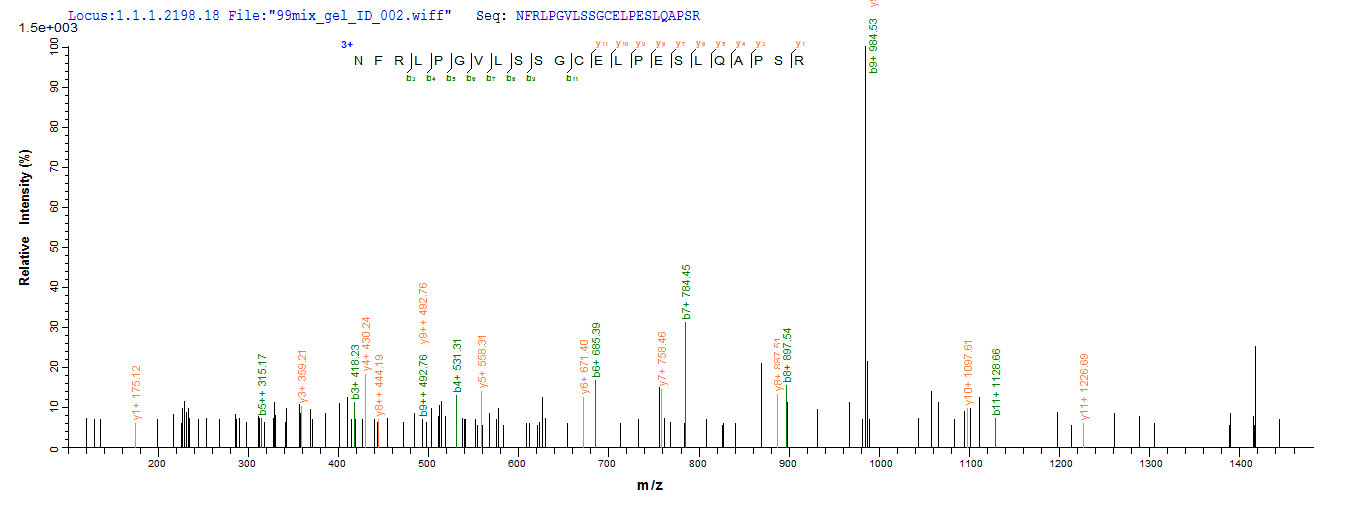 LC-MS Analysis 2- Recombinant protein Human NR1I2