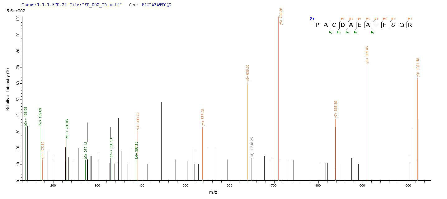 CSB-MP348663HQE LCMS-1