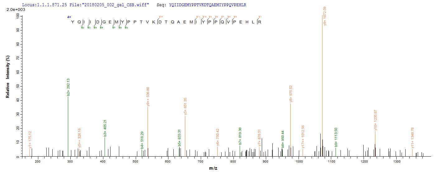 LC-MS Analysis 1- Recombinant protein Human PTGS2