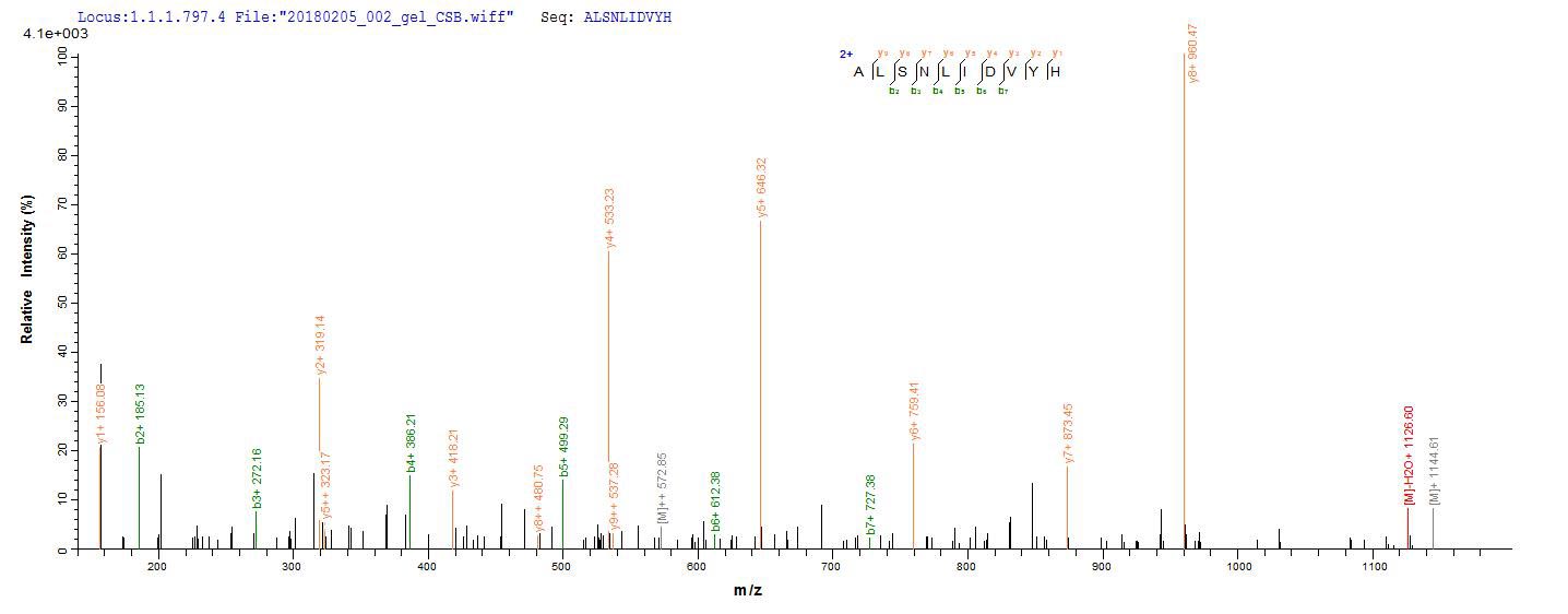 LC-MS Analysis 2- Recombinant protein Mouse S100a8