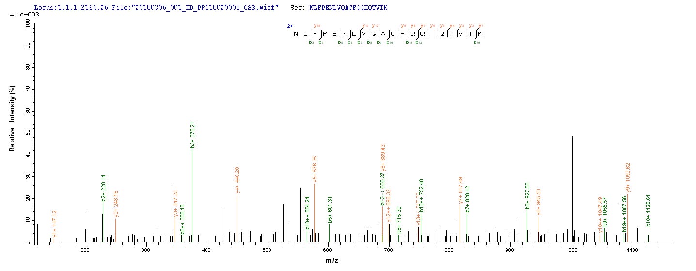 LC-MS Analysis 1- Recombinant protein Mouse Slc1a2
