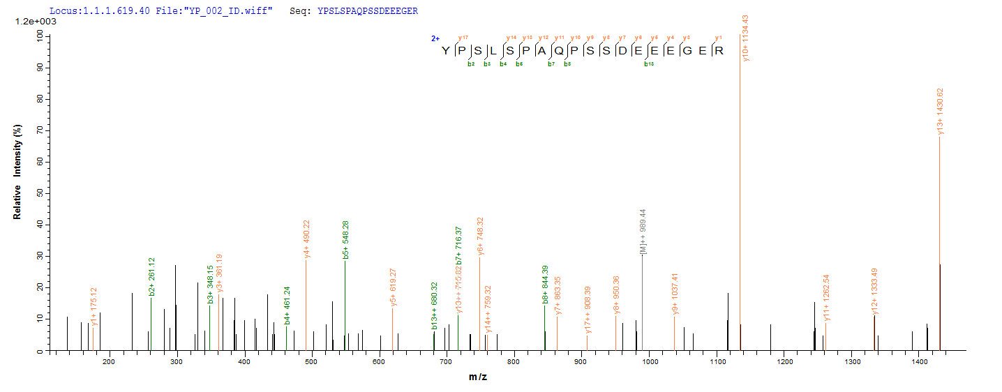 LC-MS Analysis 2- Recombinant protein Human SPI1