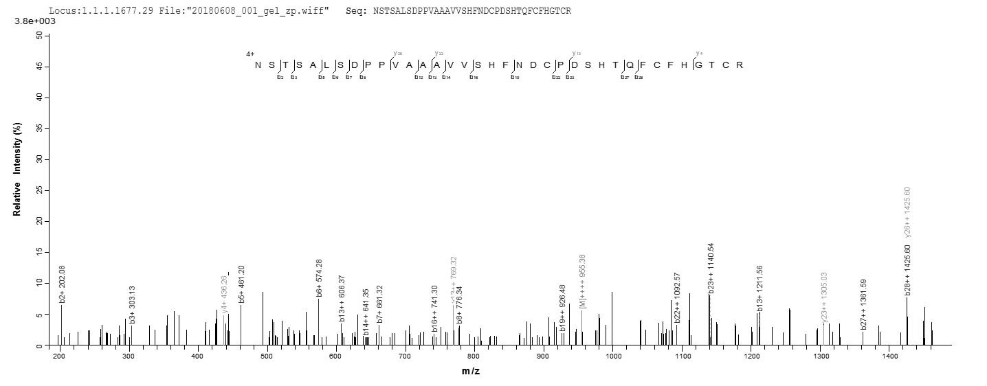 LC-MS Analysis 2- Recombinant protein Sheep TGFA