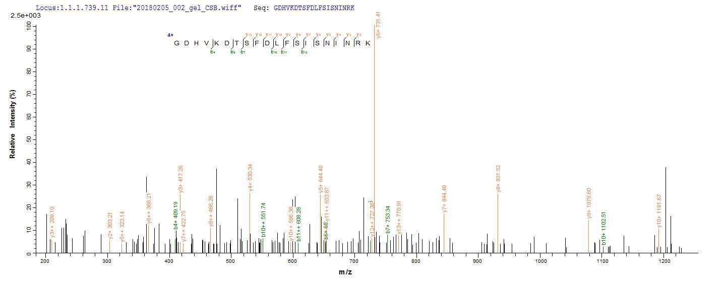 LC-MS Analysis 1- Recombinant protein Mouse Thbs2
