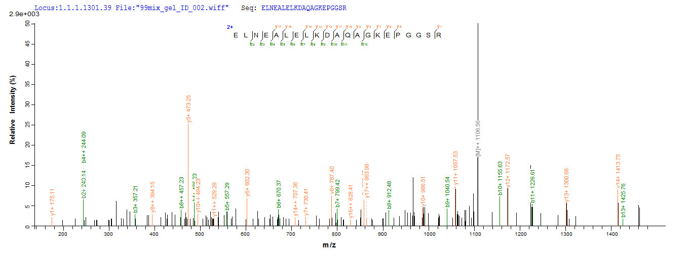 LC-MS Analysis 1- Recombinant protein Human TP53