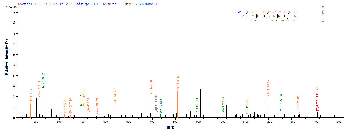 LC-MS Analysis 2- Recombinant protein Human TP53