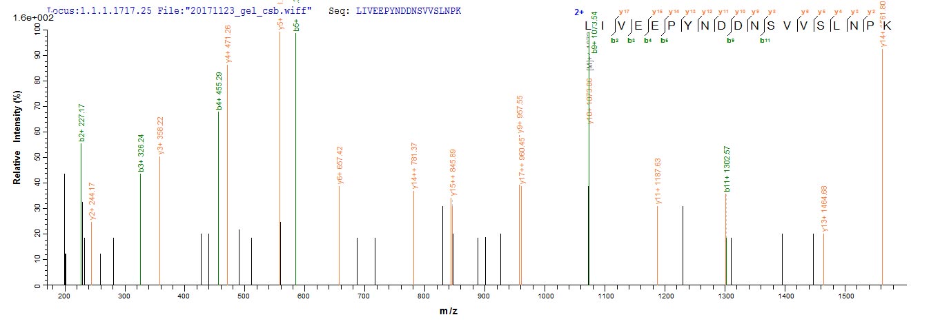 LC-MS Analysis 2- Recombinant protein Leishmania LDBPK_361420