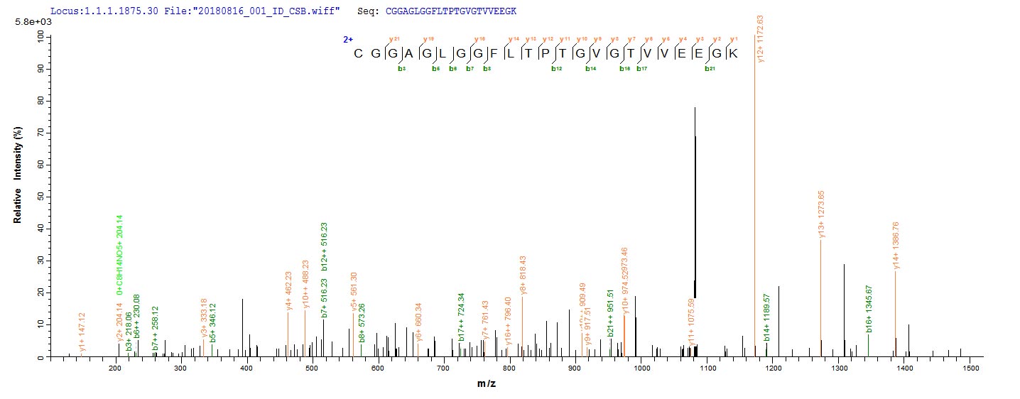 Based on the SEQUEST from database of E.coli host and target protein, the LC-MS/MS Analysis result of CSB-EP305169ENV could indicate that this peptide derived from E.coli-expressed Escherichia coli (strain K12) atoD.