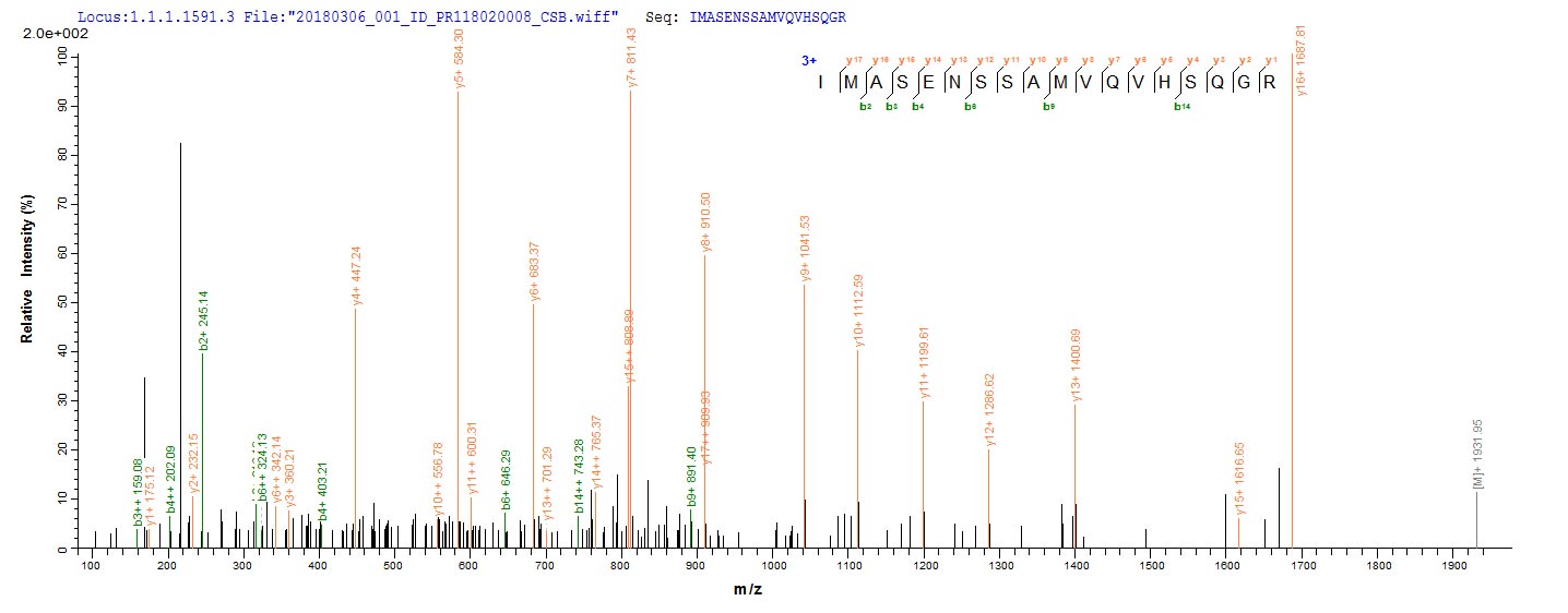 LC-MS Analysis 1- Recombinant protein Zaire GP