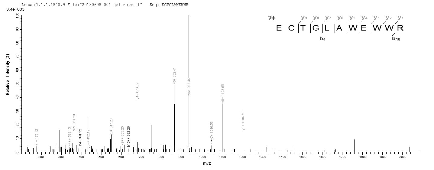 CSB-EP314820CMB LC-MS/MS-1