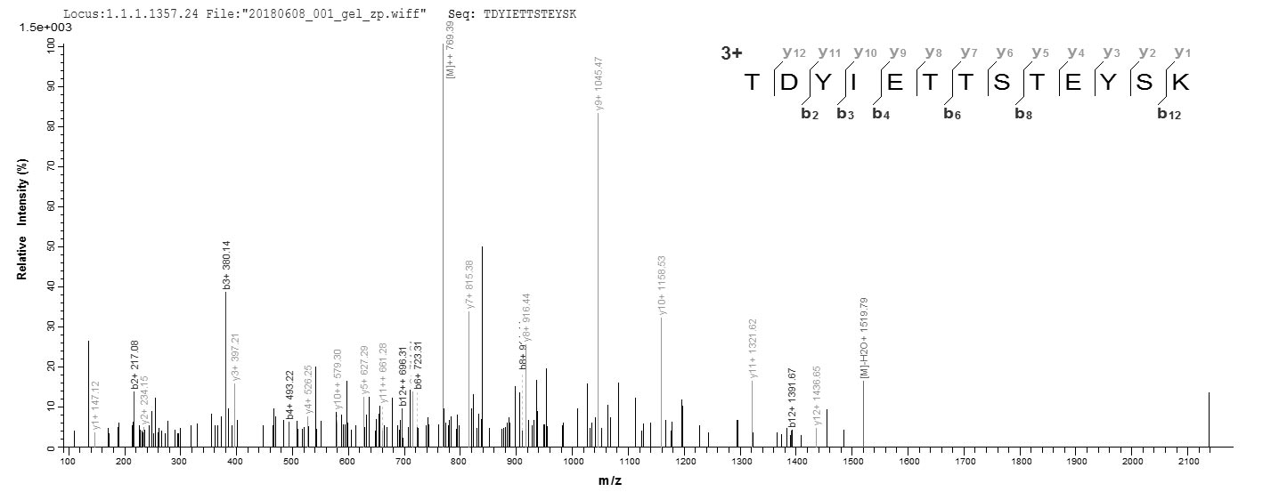 CSB-EP314820CMB LC-MS/MS-2