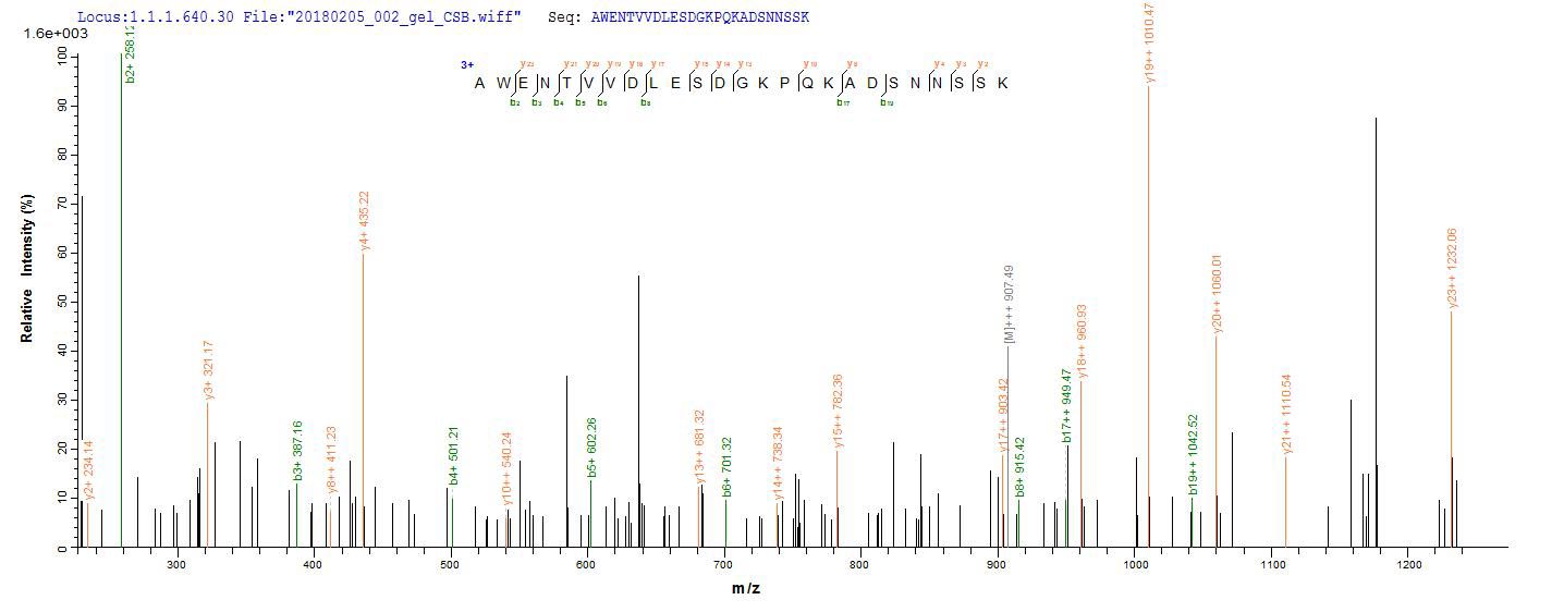LC-MS Analysis 2- Recombinant protein Lassa N