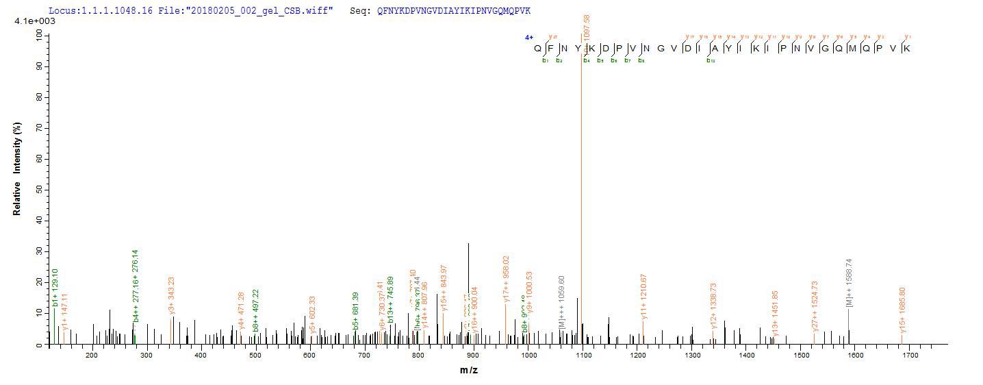 LC-MS Analysis 2- Recombinant protein Clostridium botA