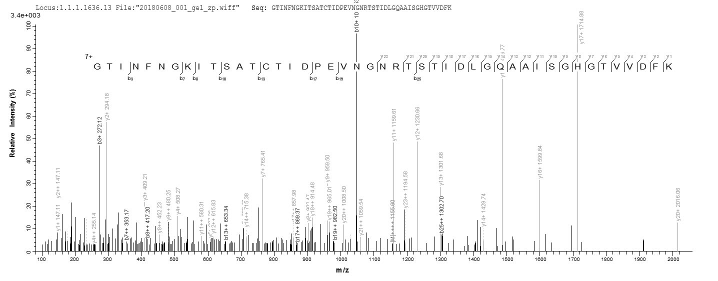 LC-MS Analysis 1- Recombinant protein Escherichia fanC