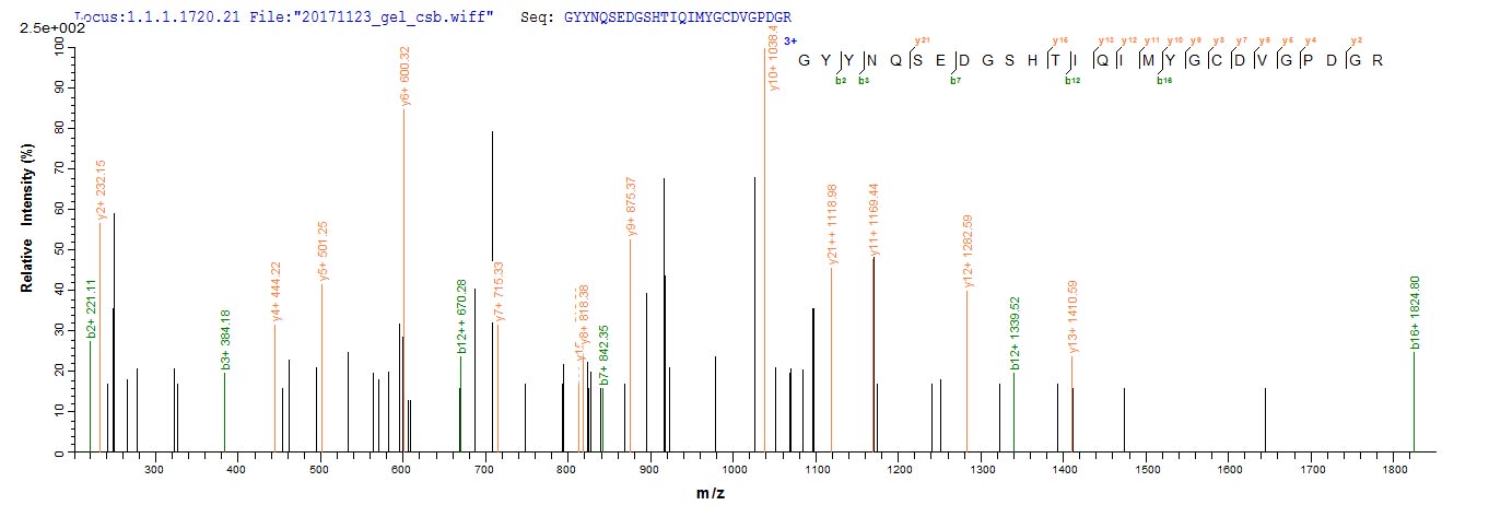 LC-MS Analysis 1- Recombinant protein Human HLA-A