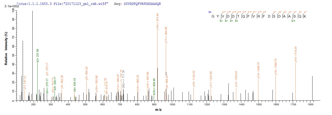 LC-MS Analysis 2- Recombinant protein Human HLA-A