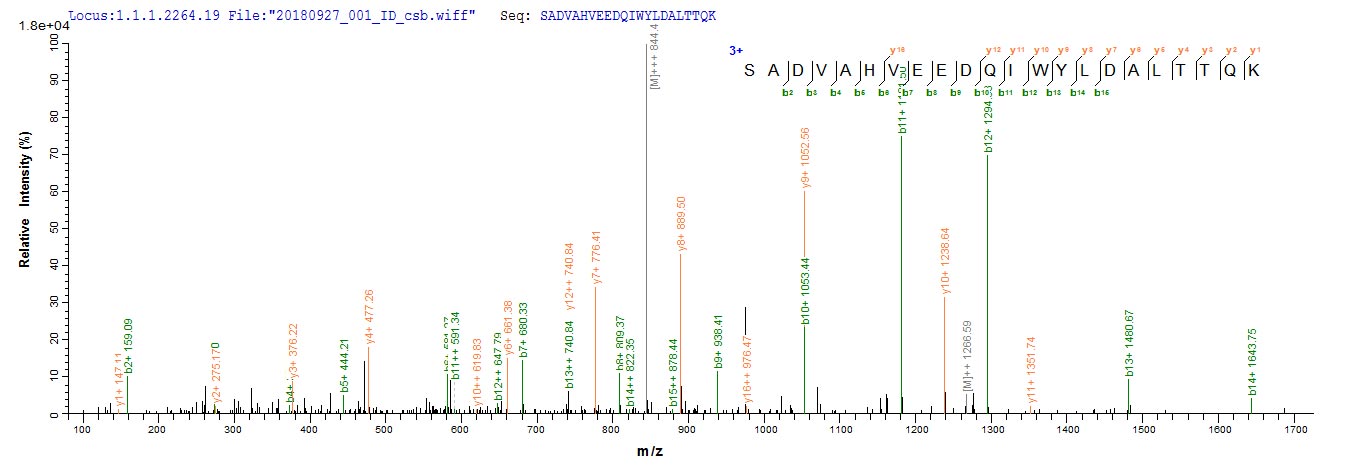 Based on the SEQUEST from database of E.coli host and target protein, the LC-MS/MS Analysis result of CSB-EP329798NGS could indicate that this peptide derived from E.coli-expressed Neosartorya fumigata (strain ATCC MYA-4609 / Af293 / CBS 101355 / FGSC A1100) (Aspergillus fumigatus) alp1. Based on the SEQUEST from database of E.coli host and target protein, the LC-MS/MS Analysis result of CSB-EP329798NGS could indicate that this peptide derived from E.coli-expressed Neosartorya fumigata (strain ATCC MYA-4609 / Af293 / CBS 101355 / FGSC A1100) (Aspergillus fumigatus) alp1.