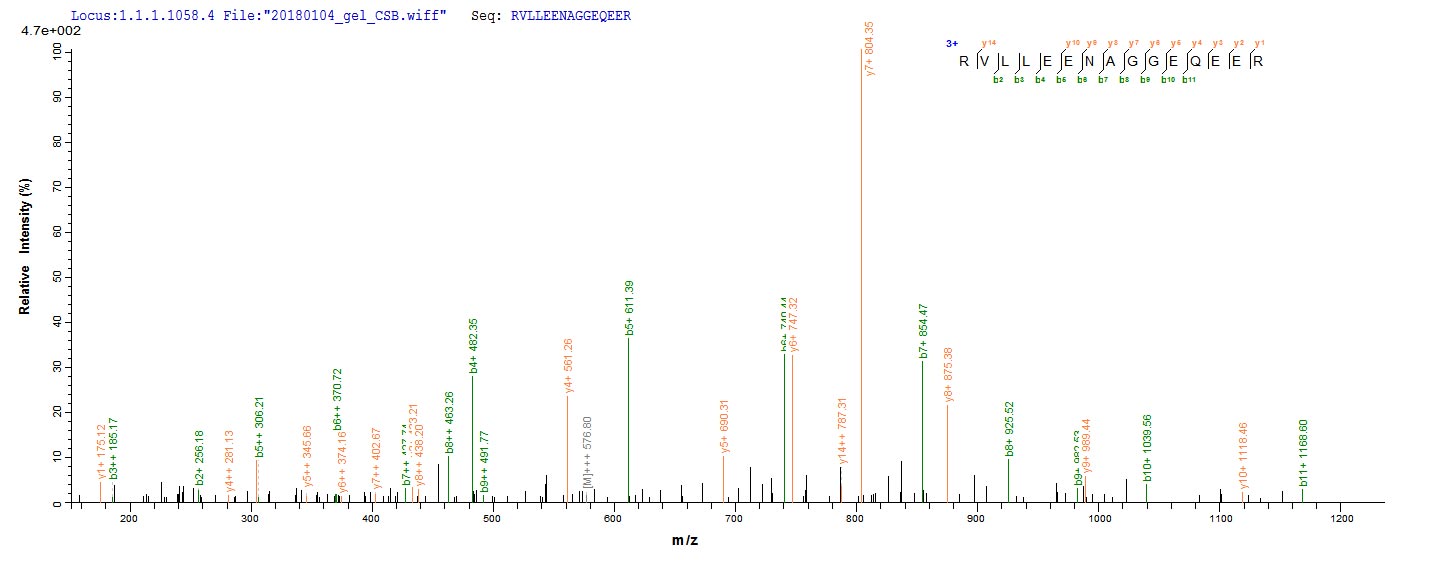 Recombinant Arachis Hypogaea Allergen Ara H 1 Clone P17 Cusabio
