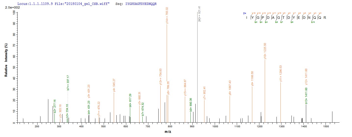 LC-MS Analysis 1- Recombinant protein Triticum WAXY