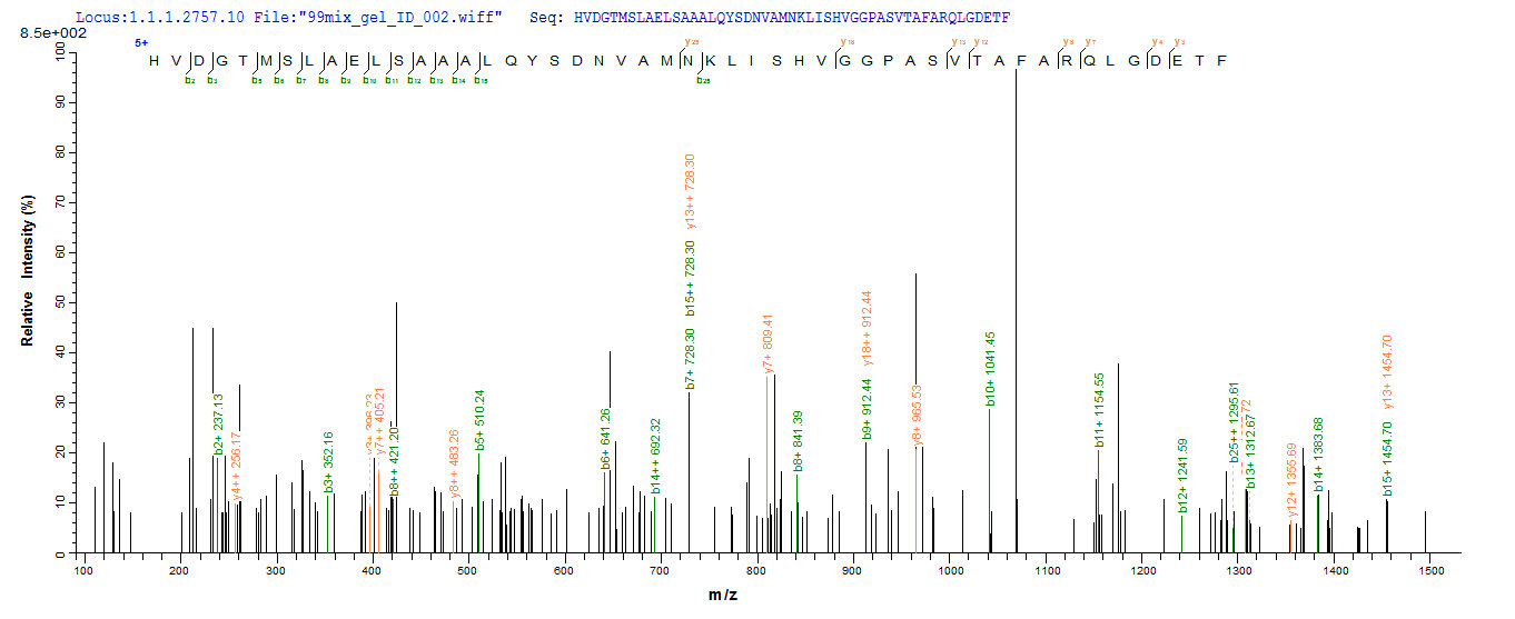 LC-MS Analysis 2- Recombinant protein Escherichia bla