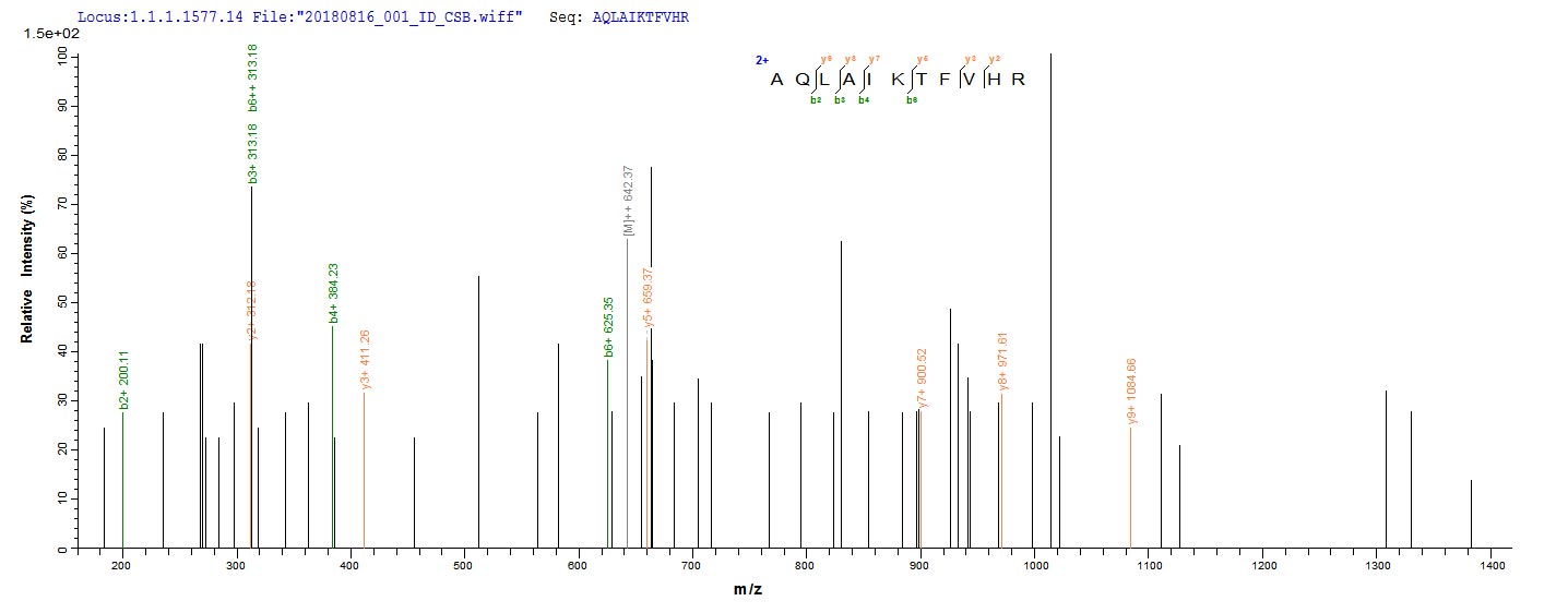 Based on the SEQUEST from database of E.coli host and target protein, the LC-MS/MS Analysis result of CSB-EP349383EGX could indicate that this peptide derived from E.coli-expressed Escherichia coli O6:H1 (strain CFT073 / ATCC 700928 / UPEC) tdcD.