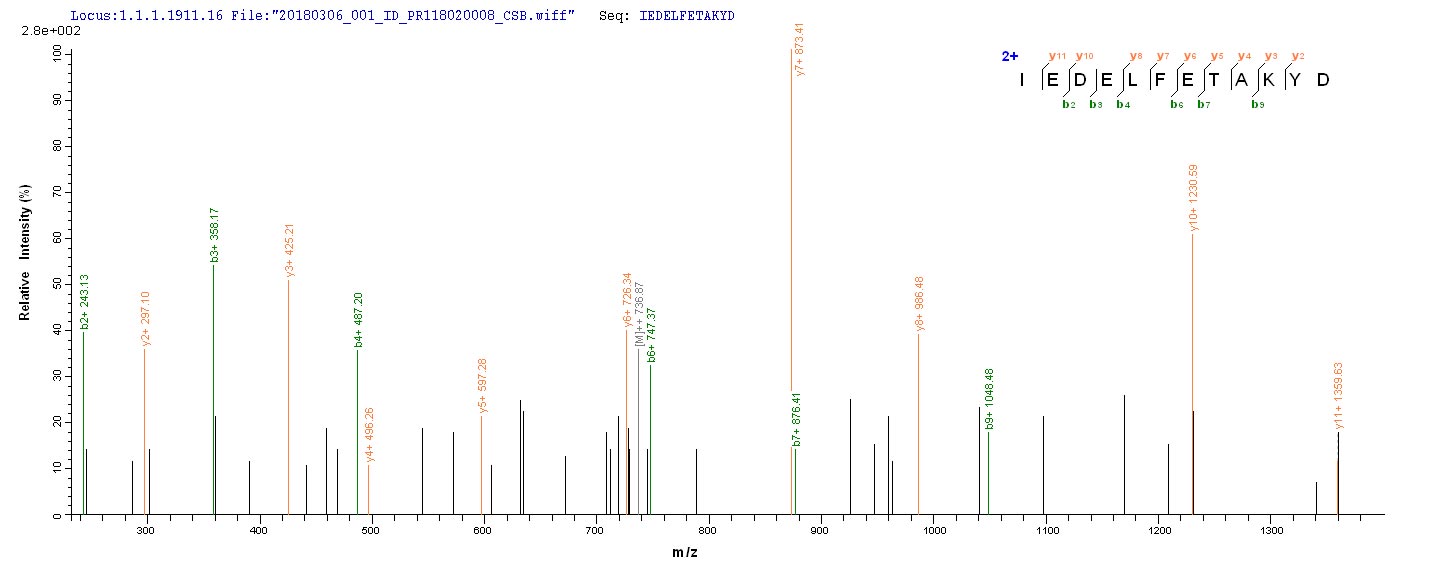 LC-MS Analysis 2- Recombinant protein Staphylococcus eno
