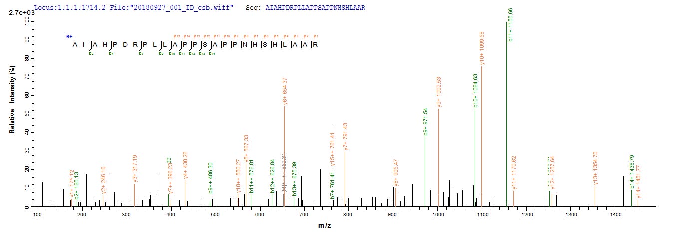 Based on the SEQUEST from database of E.coli host and target protein, the LC-MS/MS Analysis result of CSB-EP353051HGH could indicate that this peptide derived from E.coli-expressed Herpes simplex virus type 2 (strain SA8) (Simian agent 8) US12. Based on the SEQUEST from database of E.coli host and target protein, the LC-MS/MS Analysis result of CSB-EP353051HGH could indicate that this peptide derived from E.coli-expressed Herpes simplex virus type 2 (strain SA8) (Simian agent 8) US12.