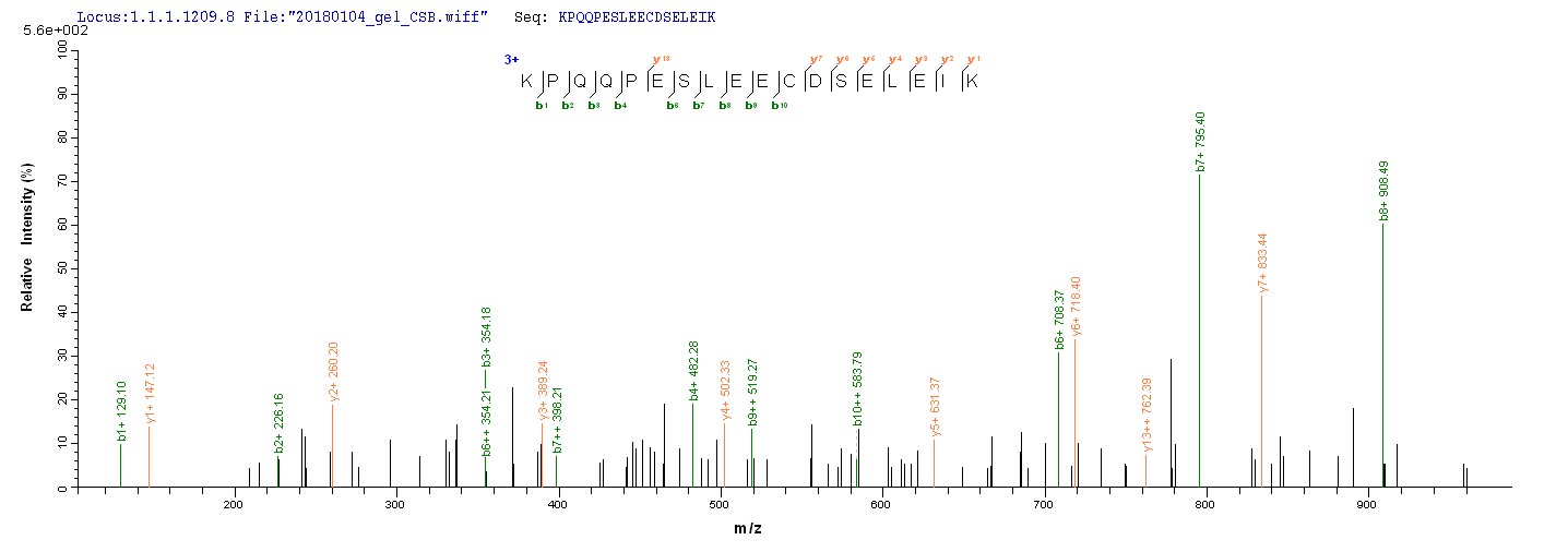 LC-MS Analysis 1- Recombinant protein Epstein-Barr BZLF1