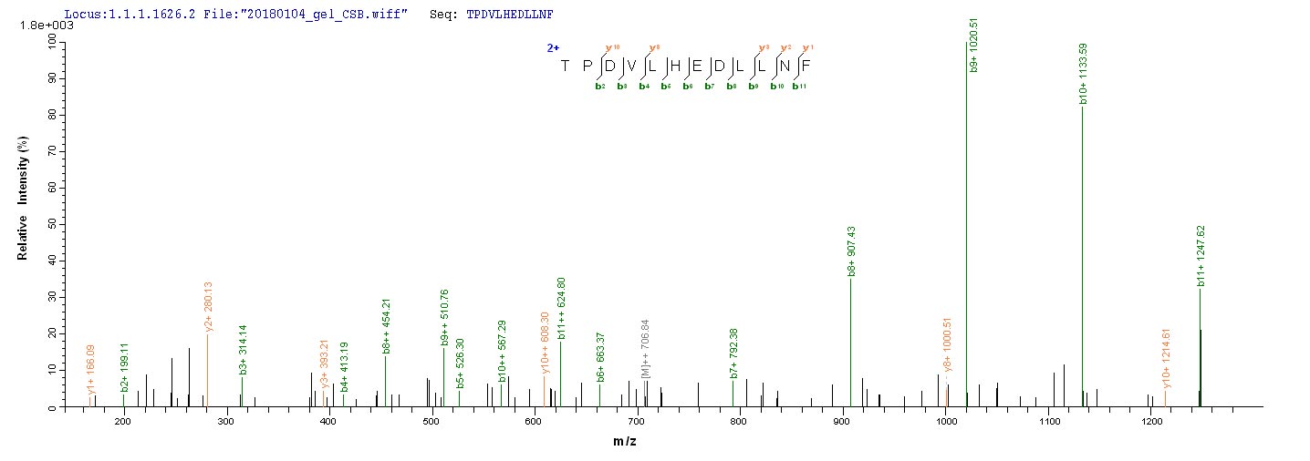 LC-MS Analysis 2- Recombinant protein Epstein-Barr BZLF1