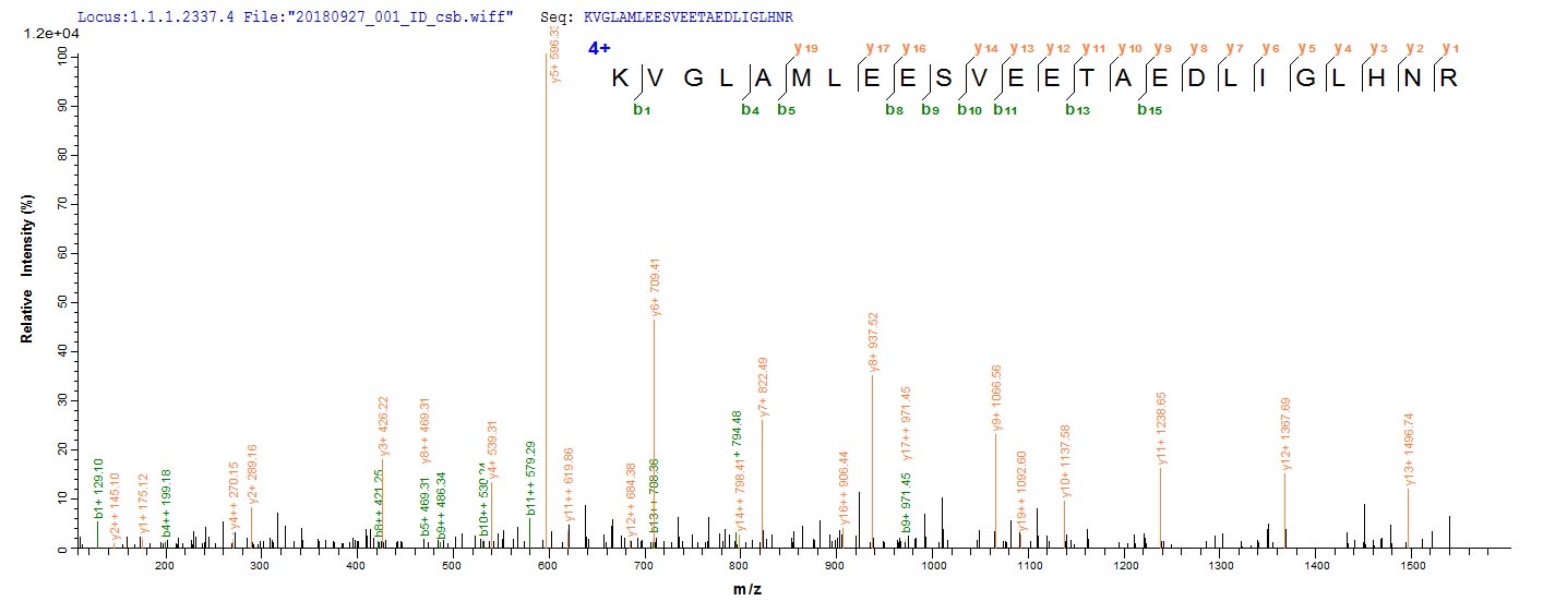 Based on the SEQUEST from database of E.coli host and target protein, the LC-MS/MS Analysis result of CSB-EP356120EEB could indicate that this peptide derived from E.coli-expressed Enterobacteria phage T7 (Bacteriophage T7) 4.