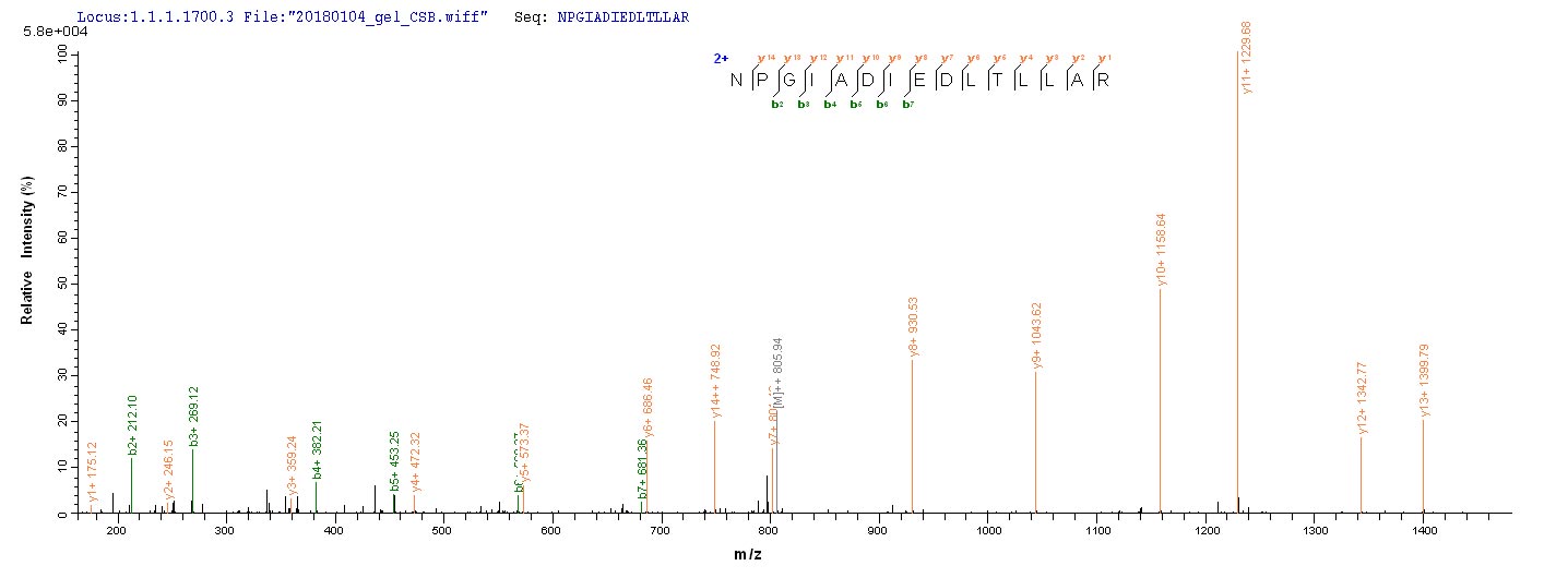LC-MS Analysis 1- Recombinant protein Influenza NP