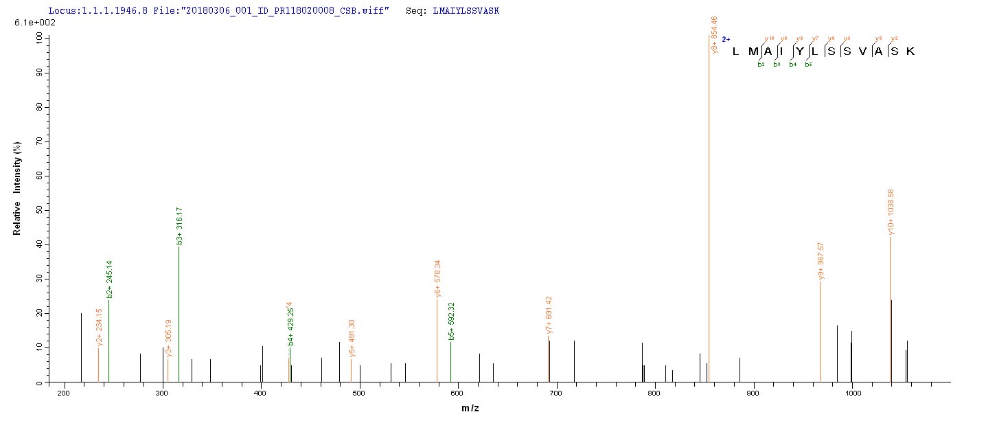 LC-MS Analysis 1- Recombinant protein Human NS1