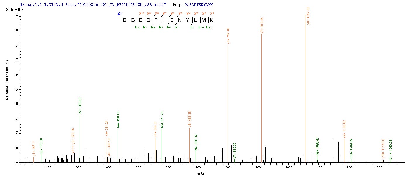 LC-MS Analysis 2- Recombinant protein Human NS1