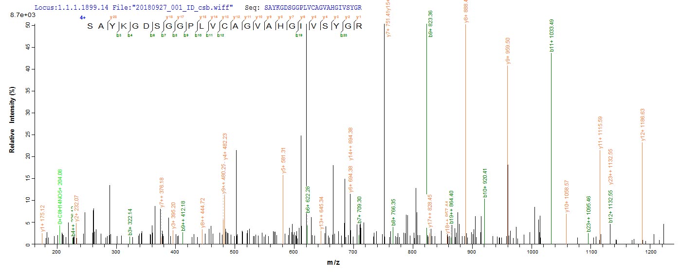 Based on the SEQUEST from database of E.coli host and target protein, the LC-MS/MS Analysis result of CSB-EP357723RA could indicate that this peptide derived from E.coli-expressed Rattus norvegicus (Rat) Mcpt1.