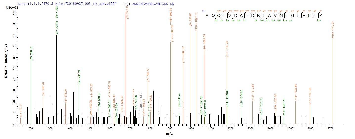 Based on the SEQUEST from database of E.coli host and target protein, the LC-MS/MS Analysis result of CSB-EP359086ENV could indicate that this peptide derived from E.coli-expressed Escherichia coli (strain K12) talB. Based on the SEQUEST from database of E.coli host and target protein, the LC-MS/MS Analysis result of CSB-EP359086ENV could indicate that this peptide derived from E.coli-expressed Escherichia coli (strain K12) talB.