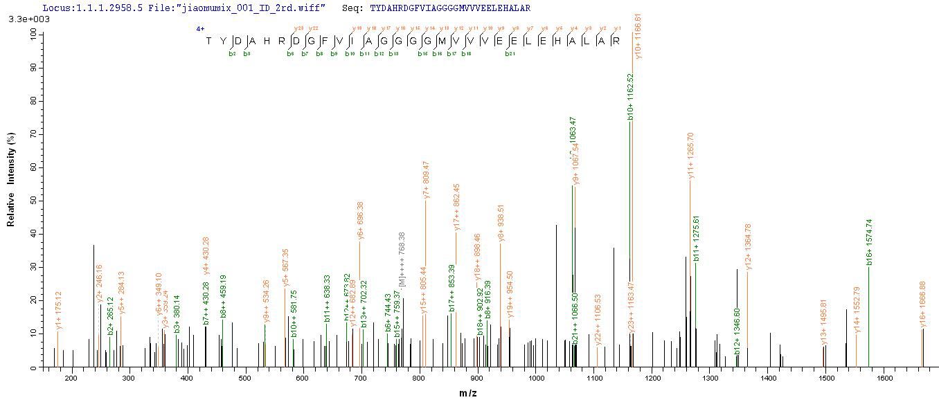 LC-MS Analysis 1- Recombinant protein Escherichia fabB