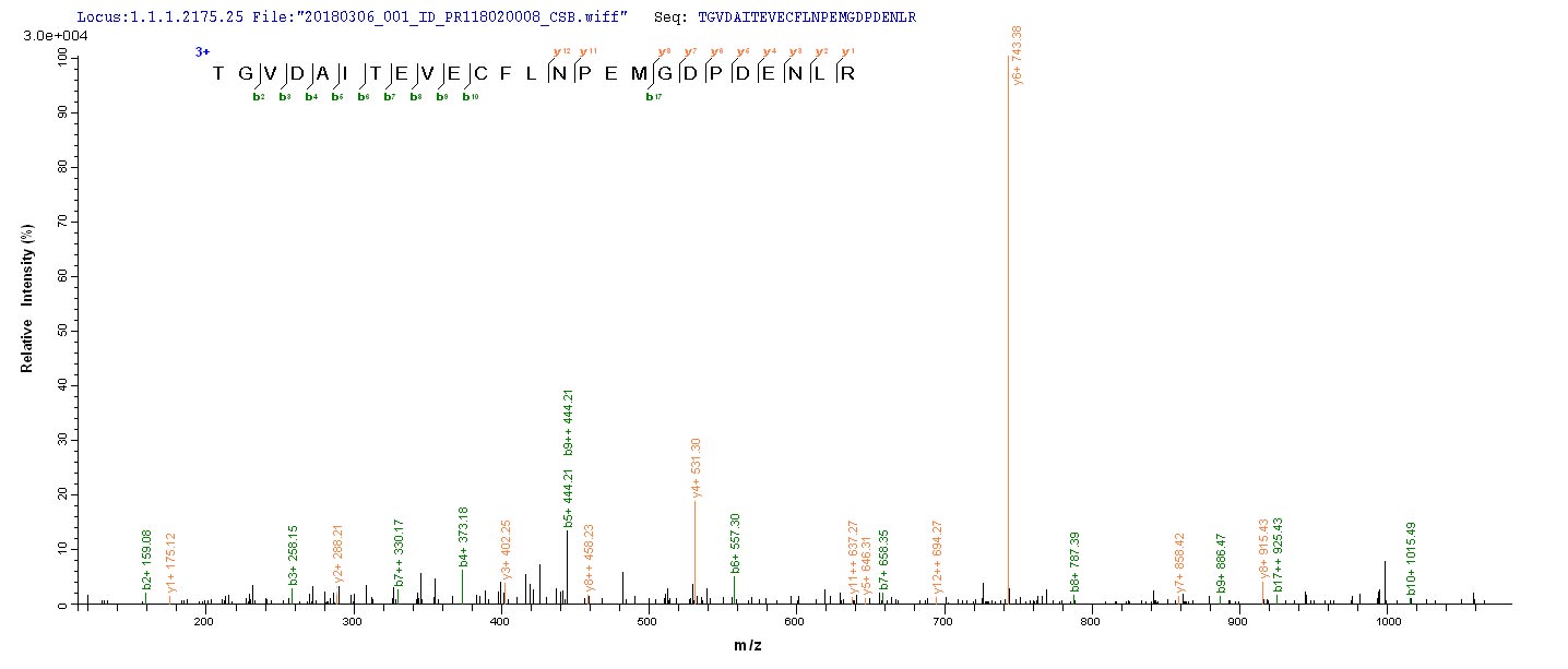 LC-MS Analysis 2 - Recombinant BK polyomavirus Major capsid protein VP1