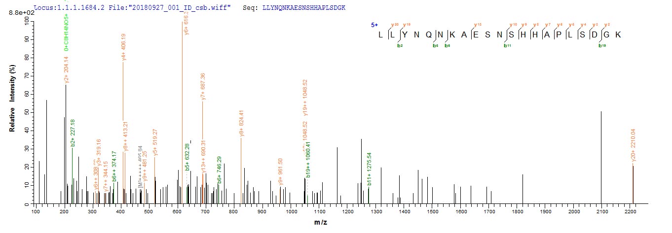 Based on the SEQUEST from database of E.coli host and target protein, the LC-MS/MS Analysis result of CSB-EP365461APN(A5) could indicate that this peptide derived from E.coli-expressed Aspergillus giganteus sar.
