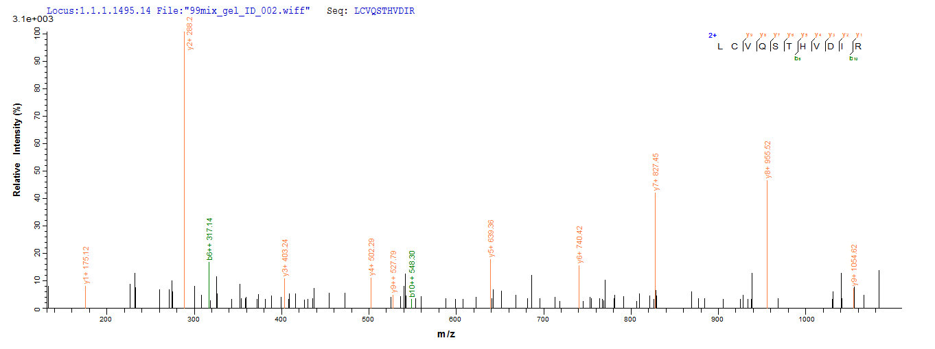 LC-MS Analysis 2- Recombinant protein Human E7
