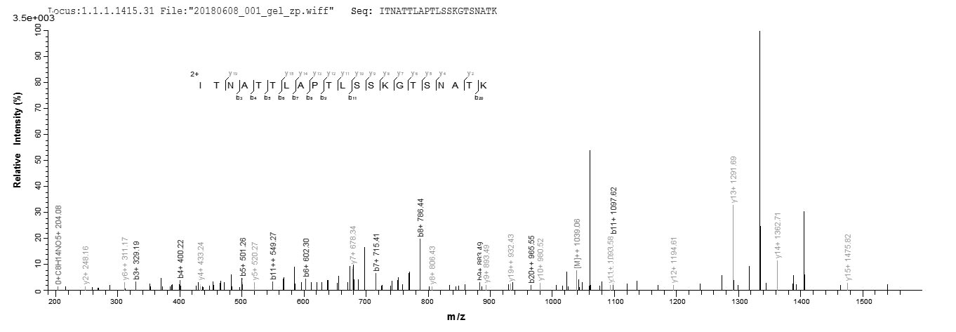 LC-MS Analysis 1- Recombinant protein Epstein-Barr BDLF3