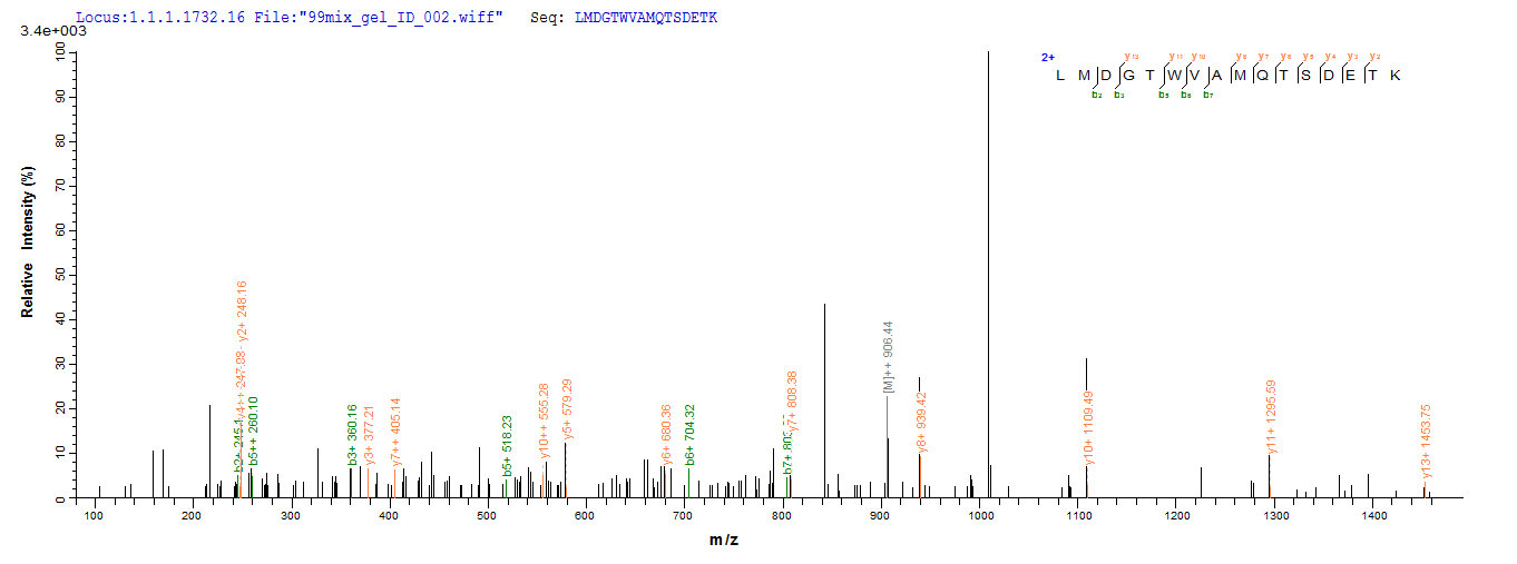 LC-MS Analysis 2- Recombinant protein Rabies G